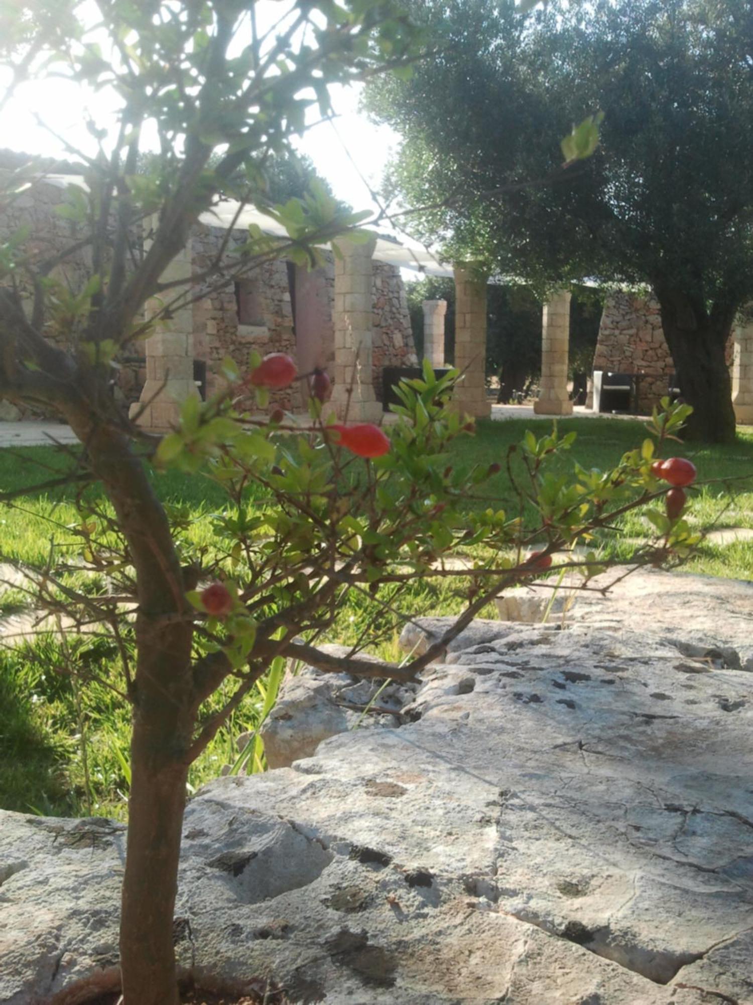 Tenuta Serre Salve Exterior foto